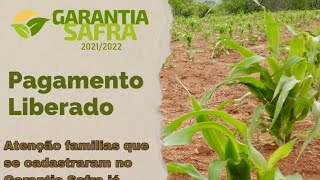 Notícia Urgente Portaria de Pagamento do garantia safra 20212022 liberado [upl. by Aihsenrad]