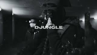 FREE Nuqi x Euroo Type Beat 2024 DJUNGLE [upl. by Zeuqirdor126]