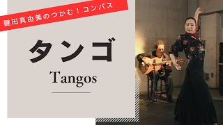 Tangos【Lets dance to flamenco compas】 [upl. by Rhu582]