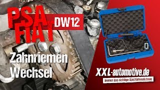 Zahnriemen Wechsel mit SpezialWerkzeug von Stahlmaxx  PSA Citroen Peugeot Fiat DW12 22 HDI [upl. by Nomyaw]