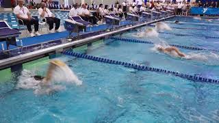 Men 500 Freestyle B Final  2019 YMCA NATIONAL SHORT COURSE CHAMPIONSHIP [upl. by Algy]