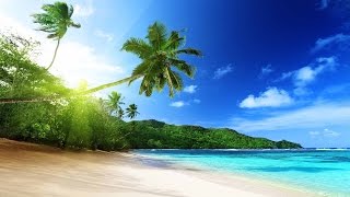 Happy Caribbean Music  Tropical Island [upl. by Arrac160]