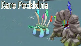 MSM Rare Peckidna Fanmade [upl. by Fitzgerald828]