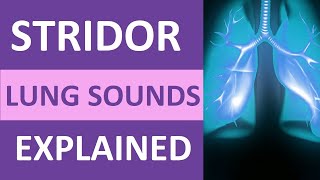 Stridor Lung Sound Audio Nursing NCLEX Review  Stridor Breath Sounds nursing [upl. by Major712]