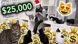 GIVING 25000 TO CATS FOR CHRISTMAS [upl. by Waverly]