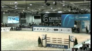 Potęga Skoku  Cavaliada Lublin 2014 [upl. by Suoivatra]