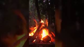 🔥Mysterious Bonfire in the Heart of the Wild Forest [upl. by Red]