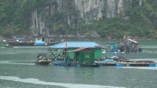 Travel Vietnam Ha Long Bay 26 [upl. by Zalucki]