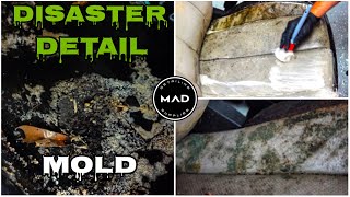 Deep Cleaning The MOLDIEST SUV Ever  Insane Interior Restoration  Satisfying Detail Transformation [upl. by Ietta340]