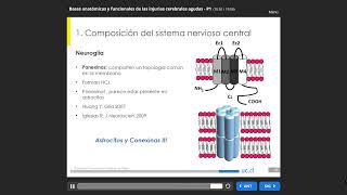 062 Bases Anatómicas y Funcionales de las Injurias Cerebrales [upl. by Rases762]