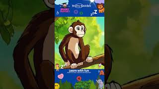 Amazing Animal Homes  Animal Homes Vocabulary for Kids  Animal Names and Homes [upl. by Bennion82]