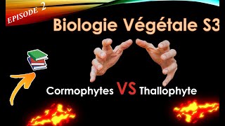 BIOLOGIE VEGETALE S3  EPISODE 2 THALOPHYTES VS CORMOPHYTES [upl. by Beka971]