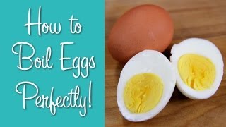 How To Boil Eggs  Perfect Hard Boiled Eggs  Hilah Cooking [upl. by Rowland]