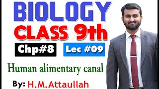 Human alimentary canal  Smart syllabus  Chapter 8  9th class Biology  Lec 9 [upl. by Leseil]