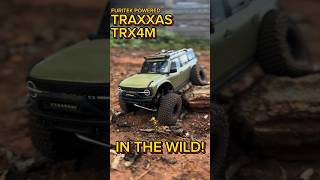 Brushless Traxxas TRX4M tearing up the trail Watch this RC beast in action [upl. by Lonier]