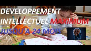 2 Comment faire de son enfant un génie 02 ans [upl. by Adlay]