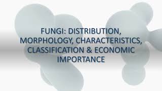 Fungi Distribution Morphology Characteristics Classification amp Economic Importance [upl. by Dusa]