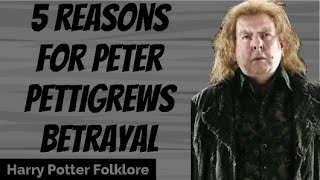 How Did Peter Pettigrew Die in Harry Potter  shorts [upl. by Feodore]