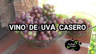 Como hacer vino de uva casero muy fácil  paso a paso [upl. by Earaj]