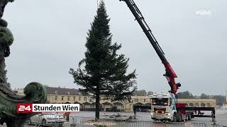 Weihnachtsbaum für Schloss Schönbrunn angeliefert [upl. by Adnwahsat]