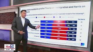 New polling shows voters vibes on Harris Trump and the issues [upl. by Azila68]