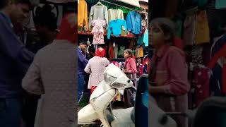 Sant Nagar Market BurariHindi song music [upl. by Acyssej645]