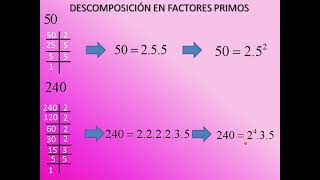 EXTRACCIÓN DE FACTORES DEL RADICAL [upl. by Corny]