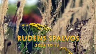 RUDENS SPALVOS [upl. by Ollopa]