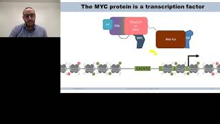 Destabilization and Degradation of MYC More Ways Than One [upl. by Primo]