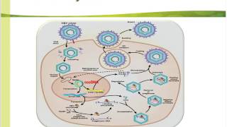 Quantitative HBsAg and its Role in Chronic Hepatitis B Patient Management [upl. by Behl551]