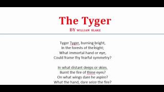 The Tyger By William Blake  অনার্স ২য় বর্ষ বাংলা  Romantic Poetry [upl. by Ralyks]