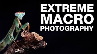 How to Shoot  Extreme Macro Photography [upl. by Peirce]