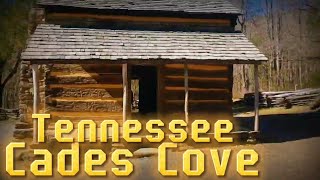 A short look at Tennessees quotCades Covequot [upl. by Applegate]