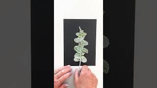 🌿monoprinting this gorgeous Mint 🌿 botanicalcollection natureprints monoprinting [upl. by Sset220]