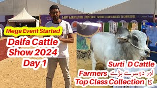 Dalfa Cattle Show 2024 Day 1 D Cattle Farm Surti Cattle Farm Top Class Collection [upl. by Benjamen]