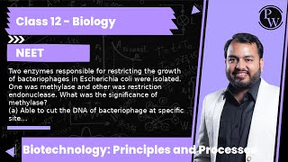 Two enzymes responsible for restricting the growth of bacteriophages in Escherichia coli were iso [upl. by Fee]