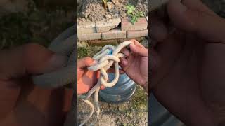 rope knot good manrope skills life tips rope knotting method Lifting and hanging knots [upl. by Harlie]