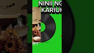 Kariuki wamugo just a vibe america duet mugithilive 13september inoorotv [upl. by Harvison]