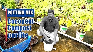 Grow Your Own FoodPOTTING MIXCOCO PEATCOMPOSTPERLITE [upl. by Balliol]