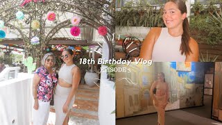 18th Birthday Vlog Brunch Miami and Van Gogh Experience [upl. by Lethia]