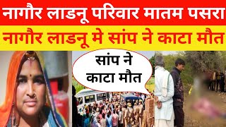 नागौर लाडनूं तहसील सांप मामला स्पेशल टीम कार्रवाई nagaur jila kumargkstudynews [upl. by Alauqahs]