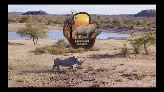 Rhinoland Safaris Showreel 2019 [upl. by Prue]