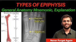 General Anatomy Types of Epiphysis  Mnemonic amp Explanation  Anatomy [upl. by Padget]