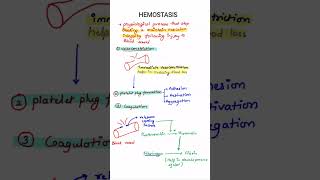 Hemostasis  Blood Clotting  Blood Physiology  MBBS 1ST YEAR [upl. by Nirej]