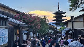 Kiyomizudera Temple Kyoto Japan  August 2024 [upl. by Naesyar544]