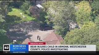 Child injured in encounter with bear [upl. by Denie951]