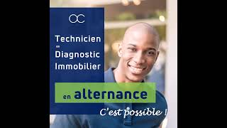 Formation Alternance Diagnostiqueur Immobilier I AC Environnement [upl. by Aidyl54]