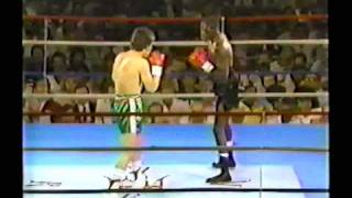 Julio Cesar Chavez  Roger Mayweather I 11 [upl. by Mcbride]