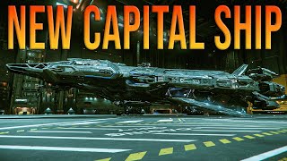 Star Citizens New MASSIVE Ship [upl. by Novar]