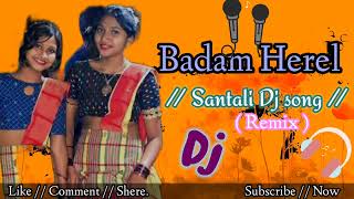 New santali Dj song 202425  Badam Herel  santali dj song  soren music [upl. by Assennej]